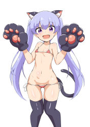 Rule 34 | 1girl, :d, absurdres, animal ears, animal hands, bikini, black thighhighs, breasts, cat ears, cat paws, cat tail, collarbone, fang, gluteal fold, groin, hair between eyes, head tilt, highres, light purple hair, looking at viewer, lsizessize, micro bikini, navel, new game!, open mouth, purple eyes, side-tie bikini bottom, simple background, small breasts, smile, solo, standing, suzukaze aoba, swimsuit, tail, thighhighs, twintails