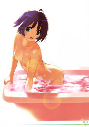 Rule 34 | 1girl, :d, ahoge, backlighting, bath, bathtub, bent over, blue eyes, blush, breasts, collarbone, fang, highres, koutaro, lens flare, looking at viewer, medium breasts, nipples, nude, open mouth, page number, partially submerged, purple hair, scan, short hair, smile, solo, wading, water