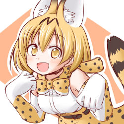 Rule 34 | 10s, 1girl, :d, animal ears, bare shoulders, belt, blonde hair, blush, bow, bowtie, elbow gloves, extra ears, gloves, hair between eyes, high-waist skirt, kashii yutaka, kemono friends, looking at viewer, multicolored clothes, multicolored gloves, open mouth, paw pose, print bow, print bowtie, print gloves, print neckwear, print skirt, serval (kemono friends), serval tail, skirt, sleeveless, smile, solo, tail, two-tone background, white background, white gloves, yellow eyes, yellow gloves, yellow skirt