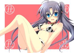Rule 34 | 1girl, ahoge, animal ears, animal print, bell, bikini, black choker, blue eyes, blush, border, breasts, chinese zodiac, choker, commentary request, cow ears, cow horns, cow print, cowbell, floating, frown, grey hair, hair between eyes, highres, horns, long hair, looking at viewer, lyrical nanoha, mahou shoujo lyrical nanoha vivid, medium breasts, metaruzo, neck bell, new year, open mouth, print bikini, red background, side-tie bikini bottom, sieglinde eremiah, solo, swimsuit, twintails, white bikini, white border, year of the ox