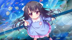 Rule 34 | 1girl, :i, aged down, aquarium, aquarium tunnel, black hair, black socks, bow, child, clenched hand, dot nose, dutch angle, film grain, fish, fish request, game cg, hair bow, ichikishima mizuha, izumi tsubasu, kindergarten uniform, lens flare, long hair, long sleeves, manta ray, name tag, non-web source, official art, pink footwear, pointing, pointing at viewer, pout, puffer fish, purple eyes, re:stage!, shoes, socks, solo, sparkle, star (symbol), white bow