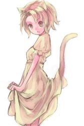 Rule 34 | animal ears, blonde hair, cat ears, cat tail, dress, ichi (ichi.colors), lowres, pocchin, solo, tail, yellow eyes