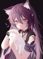 Rule 34 | 1girl, absurdres, animal, animal ear fluff, animal ears, arknights, arm ribbon, bad id, bad pixiv id, bare shoulders, biaeous, black background, blush, bracelet, cat, cat ears, closed mouth, collar, hair between eyes, highres, holding, holding animal, holding cat, infection monitor (arknights), jewelry, long hair, looking at viewer, melantha (arknights), petals, petting, purple eyes, purple hair, purple ribbon, ribbon, simple background, solo, upper body, very long hair, white cat