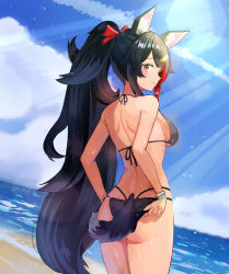 Rule 34 | 1girl, absurdres, adjusting clothes, adjusting swimsuit, animal ear fluff, animal ears, ass, bare shoulders, bikini, black bikini, black hair, blush, breasts, closed mouth, cloud, cowboy shot, halterneck, high ponytail, highres, hololive, kumaro, lens flare, looking at viewer, looking back, medium breasts, ocean, ookami mio, outdoors, ponytail, profile, sand, shoulder blades, side-tie bikini bottom, smile, solo, string bikini, swimsuit, tail, virtual youtuber, water, wet, wolf ears, wolf girl, wolf tail, wristband, yellow eyes