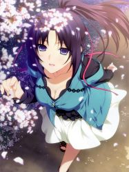 Rule 34 | 1girl, absurdres, black hair, blue eyes, blurry, breasts, cherry blossoms, cleavage, collarbone, depth of field, from above, hair ribbon, highres, honjou manami, iizuki tasuku, kimi to issho ni, large breasts, long hair, petals, ponytail, ribbon, sandals, scan, smile, solo