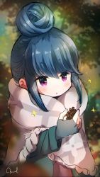 Rule 34 | 1girl, blue hair, blurry, blurry background, fingerless gloves, gloves, hair bun, highres, holding, mint (mintlemonade3), outdoors, pinecone, purple eyes, shawl, shima rin, solo, triangle mouth, yurucamp