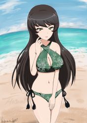 Rule 34 | 10s, 1girl, alternate hairstyle, artist name, beach, bikini, breasts, brown hair, bukkuri, character name, cleavage, cloud, cloudy sky, cowboy shot, criss-cross halter, dated, day, girls und panzer, green bikini, green eyes, hair down, halterneck, hosomi shizuko, long hair, looking at viewer, medium breasts, navel, outdoors, parted lips, side-tie bikini bottom, signature, sky, smile, solo, standing, swimsuit