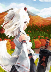 Rule 34 | 1girl, animal ears, bare shoulders, detached sleeves, hat, inubashiri momiji, lake, mountain, paprika shikiso, red eyes, red hat, revision, scenery, short hair, skirt, sleeves past wrists, solo, tail, tokin hat, touhou, tree, water, white hair, wolf ears, wolf tail, youkai mountain
