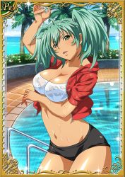 Rule 34 | 00s, 1girl, black shorts, bra, breasts, card (medium), cleavage, day, eyebrows, green eyes, green hair, holding, ikkitousen, jacket, large breasts, long hair, matching hair/eyes, navel, open clothes, open jacket, outdoors, pool, red jacket, ryofu housen, short shorts, short twintails, shorts, solo, strapless, strapless bra, twintails, underwear, wet, white background