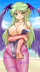 Rule 34 | blush, breasts, breath of fire, breath of fire ii, capcom, cleavage, cosplay, hip focus, large breasts, lowres, morrigan aensland, morrigan aensland (cosplay), nina (breath of fire ii), nipples, vampire (game), wide hips, wings