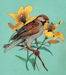 Rule 34 | animal, animal focus, bird, commentary, english commentary, flower, from side, full body, green background, leaf, no humans, original, profile, rentgraham, simple background, solo, sparrow, yellow flower