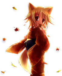 Rule 34 | animal ears, fox ears, japanese clothes, kimono, original, solo, suzushiro kurumi, tail