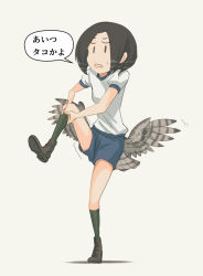 Rule 34 | 1girl, asterisk kome, bird wings, black footwear, black hair, black socks, blue shirt, commentary, frances royce, frown, full body, gym shirt, gym shorts, gym uniform, leg hold, leg up, low wings, motion lines, open mouth, shirt, shoes, short hair, short sleeves, shorts, simple background, socks, solid oval eyes, solo, standing, standing on one leg, sweatdrop, translated, white background, winged fusiliers, wings