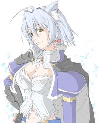 Rule 34 | 10s, 1girl, ahoge, alternate hair length, alternate hairstyle, animal ears, asuka sakurai, bad id, bad pixiv id, braid, breasts, bustier, cape, cat ears, cleavage, collar, cropped jacket, dog days, grey hair, highres, leonmitchelli galette des rois, aged up, short hair, solo, tossy0322, yellow eyes