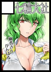 Rule 34 | 1girl, black bra, bra, breasts, circle cut, cleavage, collarbone, female focus, gradient background, green hair, kazami yuuka, lace, lace-trimmed bra, lace trim, large breasts, looking at viewer, open clothes, open shirt, red eyes, ribbon, see-through, shirt, solo, sweat, touhou, underwear, upper body, wet, wet clothes, wet shirt, y2