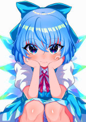 Rule 34 | 1girl, absurdres, bloomers, blue bow, blue dress, blue eyes, blue hair, blue plan, blush, bow, cirno, closed mouth, crossed bangs, dot nose, dress, face, hair between eyes, hair bow, hands on own face, hands up, head rest, highres, ice, ice wings, knees, light smile, looking at viewer, neck ribbon, puffy short sleeves, puffy sleeves, red ribbon, ribbon, short sleeves, solo, squatting, touhou, underwear, wing collar, wings