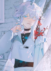 Rule 34 | 1boy, absurdres, black shirt, blue eyes, blush, choker, closed mouth, crop top, curtains, expressionless, flower, highres, hood, hoodie, long sleeves, looking at viewer, male focus, original, parai0, red flower, shirt, short hair, solo, white hair, white hoodie, white theme