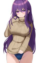Rule 34 | 1girl, b4 (yonten), blue one-piece swimsuit, blush, doki doki literature club, hair ornament, hairclip, highres, long hair, looking at viewer, one-piece swimsuit, purple eyes, purple hair, simple background, sleeves past wrists, solo, sweater, swimsuit, swimsuit under clothes, turtleneck, turtleneck sweater, white background, yuri (doki doki literature club)