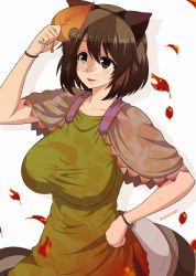 Rule 34 | 1girl, animal ears, autumn leaves, breasts, brown eyes, brown hair, futatsuiwa mamizou, glasses, hand on own hip, impossible clothes, impossible shirt, large breasts, leaf, open mouth, pince-nez, raccoon ears, raccoon tail, shirt, smile, solo, tail, touhou, umasan