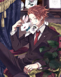 Rule 34 | 1boy, animal, animal on shoulder, bow, bowtie, brown hair, card, chair, earrings, facial mark, formal, highres, hisoka (hunter x hunter), hunter x hunter, jewelry, joker (playing card), looking at viewer, male focus, mouth hold, necktie, playing card, rabbit, red eyes, ring, sitting, smile, solo, star (symbol), suit, suzaku (zaku6584), tassel, teardrop tattoo, traditional bowtie, yellow eyes