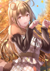 Rule 34 | 1girl, ahoge, animal ear fluff, animal ears, autumn leaves, belt, black shirt, blue sky, blunt bangs, blurry, blurry background, breasts, brown eyes, brown hair, citrusmikan, commentary, day, falling leaves, fur trim, green nails, highres, idolmaster, idolmaster shiny colors, kuwayama chiyuki, leaf, long hair, long sleeves, looking at viewer, medium breasts, nail polish, open mouth, outdoors, raccoon ears, raccoon tail, ribbon, shirt, skirt, sky, smile, solo, tail, tree, very long hair, white ribbon