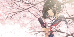 Rule 34 | 1girl, black hair, blue sailor collar, bob cut, branch, cherry blossoms, closed mouth, commentary, crying, crying with eyes open, day, flower, from side, graduation, grey eyes, half-closed eyes, highres, holding, long sleeves, maria komaki, neckerchief, object request, original, outdoors, petals, pink flower, red neckerchief, red ribbon, ribbon, sailor collar, school uniform, serafuku, short hair, sleeve cuffs, solo, spring (season), tears, tree, upper body, white serafuku