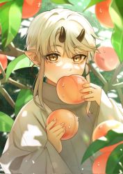 Rule 34 | 1600pommsky, 1girl, blonde hair, blush, brown eyes, corrupted twitter file, day, earrings, eating, food, food in mouth, fruit, glint, grey sweater, hands up, highres, holding, holding food, holding fruit, hoop earrings, horns, jewelry, leaf, looking at viewer, oni horns, orchard, original, outdoors, pointy ears, short hair with long locks, sidelocks, solo, sweater, turtleneck, upper body, wide sleeves