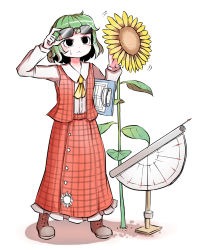Rule 34 | 1girl, :&lt;, ascot, black eyes, blush, boots, brown footwear, buttons, clipboard, closed mouth, collared shirt, cross-laced footwear, eyewear on head, flower, frilled skirt, frills, geometry, green hair, highres, instrument, kazami yuuka, long skirt, long sleeves, looking up, peroponesosu., plaid, plaid skirt, plaid vest, protractor, shirt, short hair, skirt, solo, sunflower, sunglasses, sunglasses on head, touhou, vest, white background, white shirt, yellow ascot