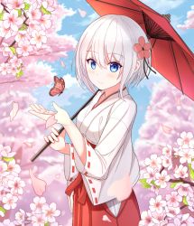Rule 34 | 1girl, blue eyes, blurry, blurry background, blush, breasts, bug, butterfly, cherry blossoms, chihaya (clothing), cloud, cloudy sky, day, falling petals, flower, hair between eyes, hair flower, hair ornament, hakama, hakama skirt, insect, japanese clothes, long sleeves, looking at viewer, miko, original, parasol, petals, red hakama, short hair, sidelocks, skirt, sky, smile, solo, spring (season), tsukiko neko, umbrella, white hair, wide sleeves