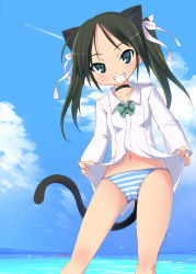 Rule 34 | 1girl, animal ears, black hair, cat ears, cat tail, francesca lucchini, green eyes, grin, long hair, panties, smile, solo, strike witches, striped clothes, striped panties, tail, twintails, underwear, witches love, world witches series