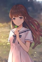 Rule 34 | 1girl, brown hair, clover, dress, floating hair, holding, holding clover, lazuri7, long hair, looking at viewer, neck ribbon, original, outdoors, pleated dress, red eyes, ribbon, short sleeves, smile, solo, standing, striped ribbon, very long hair, white dress