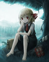 Rule 34 | 1girl, :|, ascot, barefoot, blonde hair, blouse, closed mouth, collared shirt, commentary, forest, full body, grass, hair between eyes, hair ribbon, hand on own cheek, hand on own face, highres, leaf, looking at viewer, mary janes, nature, rain, red ascot, red footwear, red ribbon, ribbon, rumia, shirt, shoes, short hair, short sleeves, sitting, skirt, skirt set, socks, solo, spark621, touhou, tree, under tree, water, wet, wet clothes, white shirt, white socks