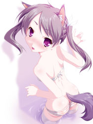 Rule 34 | animal ears, ass, back, bare shoulders, cat ears, cat tail, from above, from behind, long hair, looking back, open mouth, original, panties, purple eyes, purple hair, solo, striped clothes, striped panties, tail, thighhighs, twintails, underwear, wading, water, yamano sachi
