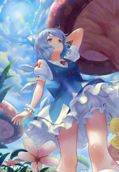 Rule 34 | 1girl, absurdres, bloomers, blue bow, blue dress, blue eyes, blue hair, blue sky, bow, breasts, cirno, cloud, cloudy sky, day, dress, flower, hair bow, highres, ice, ice wings, md5 mismatch, medium breasts, mushroom, outdoors, puffy short sleeves, puffy sleeves, red bow, red ribbon, ribbon, short dress, short hair, short sleeves, sky, smile, solo, sonikey0 0, sun, touhou, underwear, wings, wrist cuffs