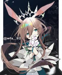 Rule 34 | 1girl, amiya (arknights), amiya (medic) (arknights), animal ears, arknights, black background, black coat, blue eyes, blurry, blurry foreground, border, brown hair, coat, commentary request, covering own mouth, crown, dress, flower, flower request, half-closed eyes, holding, holding flower, hood, hooded coat, itsuki 02, jewelry, long hair, multiple rings, pink flower, rabbit ears, ring, simple background, solo, white dress
