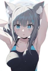 Rule 34 | 1girl, absurdres, animal ear fluff, animal ears, armpits, arms up, blue archive, breasts, cleavage, collarbone, earrings, extra ears, greyscale, halo, highres, homefuji, jewelry, looking at viewer, monochrome, one-piece swimsuit, photoshop (medium), shiroko (blue archive), shiroko (swimsuit) (blue archive), side ponytail, simple background, solo, stud earrings, swimsuit, upper body, water drop, wolf ears
