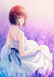 Rule 34 | back, bob cut, clothes lift, cowboy shot, dress, dress lift, field, flower, flower field, highres, messy hair, outdoors, solo, standing, tagme