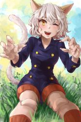 Rule 34 | 1girl, animal ears, blush, buttons, cat ears, cat girl, cat tail, commentary request, doll joints, double-breasted, fingernails, grass, grey hair, highres, hunter x hunter, joints, kneehighs, long fingernails, looking at viewer, mr.lime, neferpitou, one eye closed, other focus, short hair, socks, solo, tail, yellow eyes