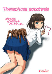 Rule 34 | 1girl, bug, glasses, hagakure, looking at viewer, looking back, school uniform, simple background, source request, spider, tarantula, top-down bottom-up, white background
