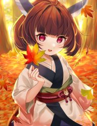 Rule 34 | 1girl, :d, absurdres, amazakura, autumn, autumn leaves, backlighting, blunt bangs, blush, brown hair, falling leaves, highres, holding, holding leaf, japanese clothes, kimono, knife hair ornament, leaf, long sleeves, looking at viewer, maple leaf, obi, open mouth, outdoors, red eyes, sash, short hair, smile, solo, touhoku kiritan, voiceroid, wide sleeves