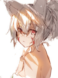 Rule 34 | 1girl, animal ear fluff, animal ears, bare shoulders, blush, facial mark, fox ears, grey hair, hair between eyes, highres, looking at viewer, looking to the side, original, parted lips, ponytail, red eyes, simple background, solo, upper body, white background, yuuji (yukimimi)