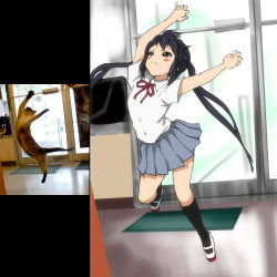 Rule 34 | 1girl, bad id, bad pixiv id, black hair, cat, derivative work, k-on!, nakano azusa, parody, photo inset, reference inset, reference photo, shoes, skirt, solo, twintails, uwabaki, watanore
