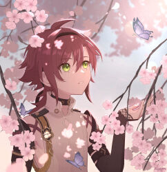 Rule 34 | 1boy, absurdres, ahoge, armor, black sleeves, bug, butterfly, cherry blossoms, dark red hair, dior&#039;s bread, genshin impact, green eyes, hair between eyes, highres, insect, japanese armor, japanese clothes, kote, kurokote, long hair, male focus, mole, mole under each eye, mole under eye, multicolored hair, multiple moles, ponytail, red hair, shikanoin heizou, solo, streaked hair