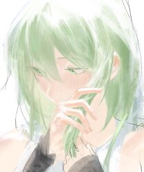 Rule 34 | 1girl, bad bcy id, bad id, bare shoulders, black arm warmers, cheng (zi74438982), colored eyelashes, covered mouth, fingernails, full body, green eyes, green hair, highres, holding, holding own hair, long hair, looking to the side, original, shirt, simple background, sleeveless, sleeveless shirt, solo, white background, white shirt