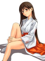 Rule 34 | 1girl, brown eyes, brown hair, hakama, hakama skirt, japanese clothes, miko, red hakama, skirt, solo, tanaka shoutarou