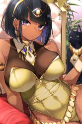 Rule 34 | 1girl, absurdres, animal, ankh, bare shoulders, black cat, black hair, bob cut, breasts, cat, closed mouth, commentary request, dark-skinned female, dark skin, earrings, egyptian, egyptian clothes, fishnet pantyhose, fishnets, gold leotard, highres, hoop earrings, jewelry, jovejun, large breasts, leotard, original, pantyhose, playboy bunny, short hair, sitting, solo, thighs