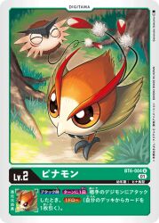 Rule 34 | claws, closed eyes, digimon, digimon (creature), digimon card game, feathers, official art, pinamon, puwamon, wings