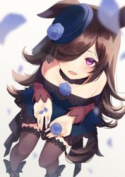Rule 34 | 1girl, :d, absurdres, animal ears, ankle bow, ankle ribbon, black bow, black choker, black thighhighs, blue dress, blue flower, blue hat, blurry, blurry foreground, bow, brown hair, choker, collarbone, dress, flower, from above, hair over one eye, hat, hat flower, highres, holding, holding flower, horse ears, leg ribbon, long hair, long sleeves, looking at viewer, nozawa noko, off-shoulder dress, off shoulder, open mouth, petals, purple eyes, purple sleeves, ribbon, rice shower (umamusume), rose, short dress, smile, solo, thighhighs, umamusume, very long hair, zettai ryouiki