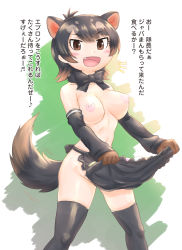 Rule 34 | 1girl, apron, black apron, blush, bow, bowtie, breasts, brown eyes, brown hair, detached sleeves, highres, kemono friends, large breasts, looking at viewer, mikan toshi, naked apron, naked ribbon, nipples, ribbon, short hair, solo, tasmanian devil (kemono friends), tasmanian devil ears, tasmanian devil tail, thighhighs, translated