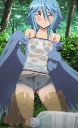 Rule 34 | 10s, 1girl, absurdres, blue hair, blush, breasts, female focus, forest, harpy, highres, monster girl, monster musume no iru nichijou, nature, outdoors, papi (monster musume), plant, shorts, small breasts, solo, stitched, third-party edit, wet, wings, yellow eyes